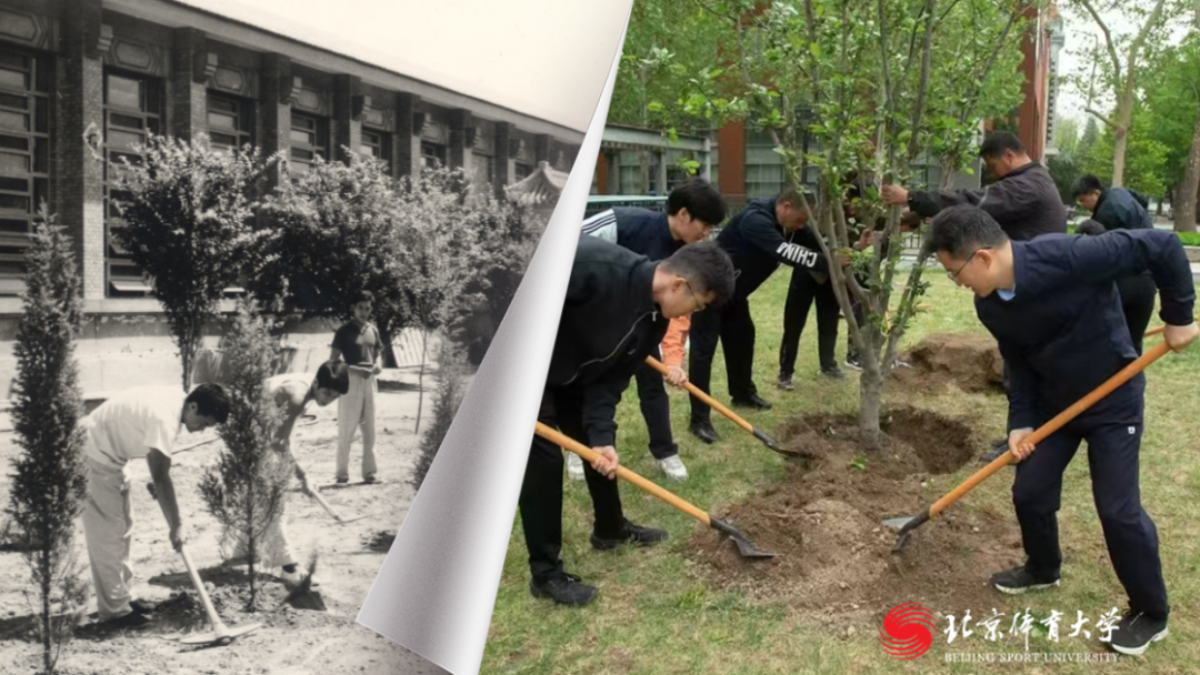 1479e707b698493da874147f2f3e429a.png 1479e707b698493da874147f2f3e429a.png