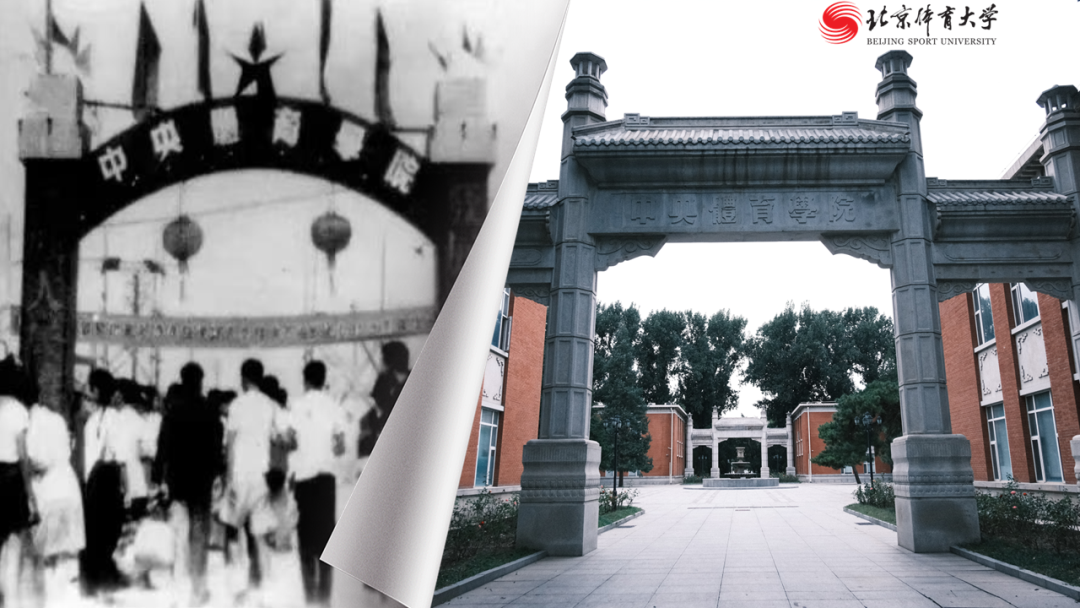 3f6bfed63e6644cd9032e650672fb72f.png 3f6bfed63e6644cd9032e650672fb72f.png