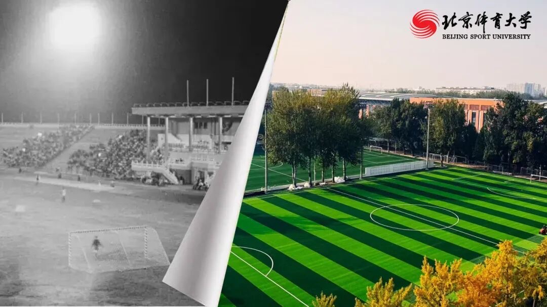 69c88087a41945dfae7d9b1abea1e6bd.jpg 69c88087a41945dfae7d9b1abea1e6bd.jpg