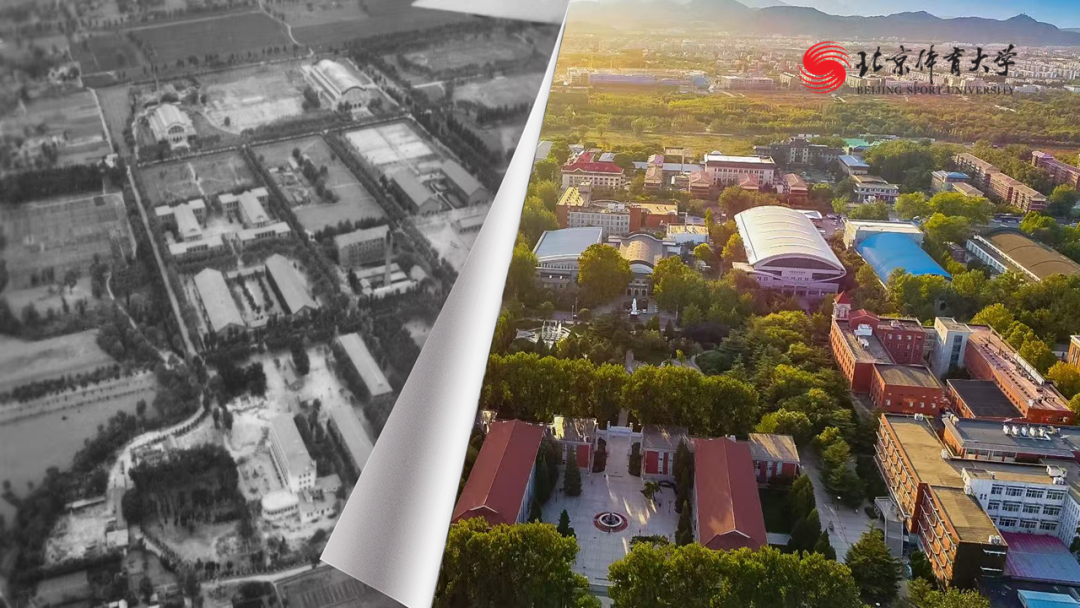 79fd8c79c681450197facd30191611e2.png 79fd8c79c681450197facd30191611e2.png